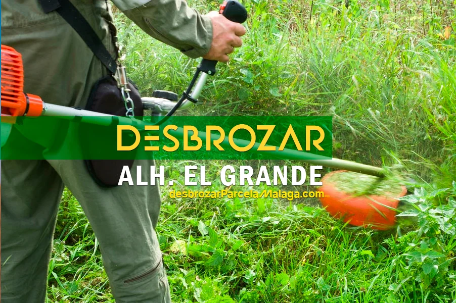 desbrozar parcela alhaurin el grande -w (1)