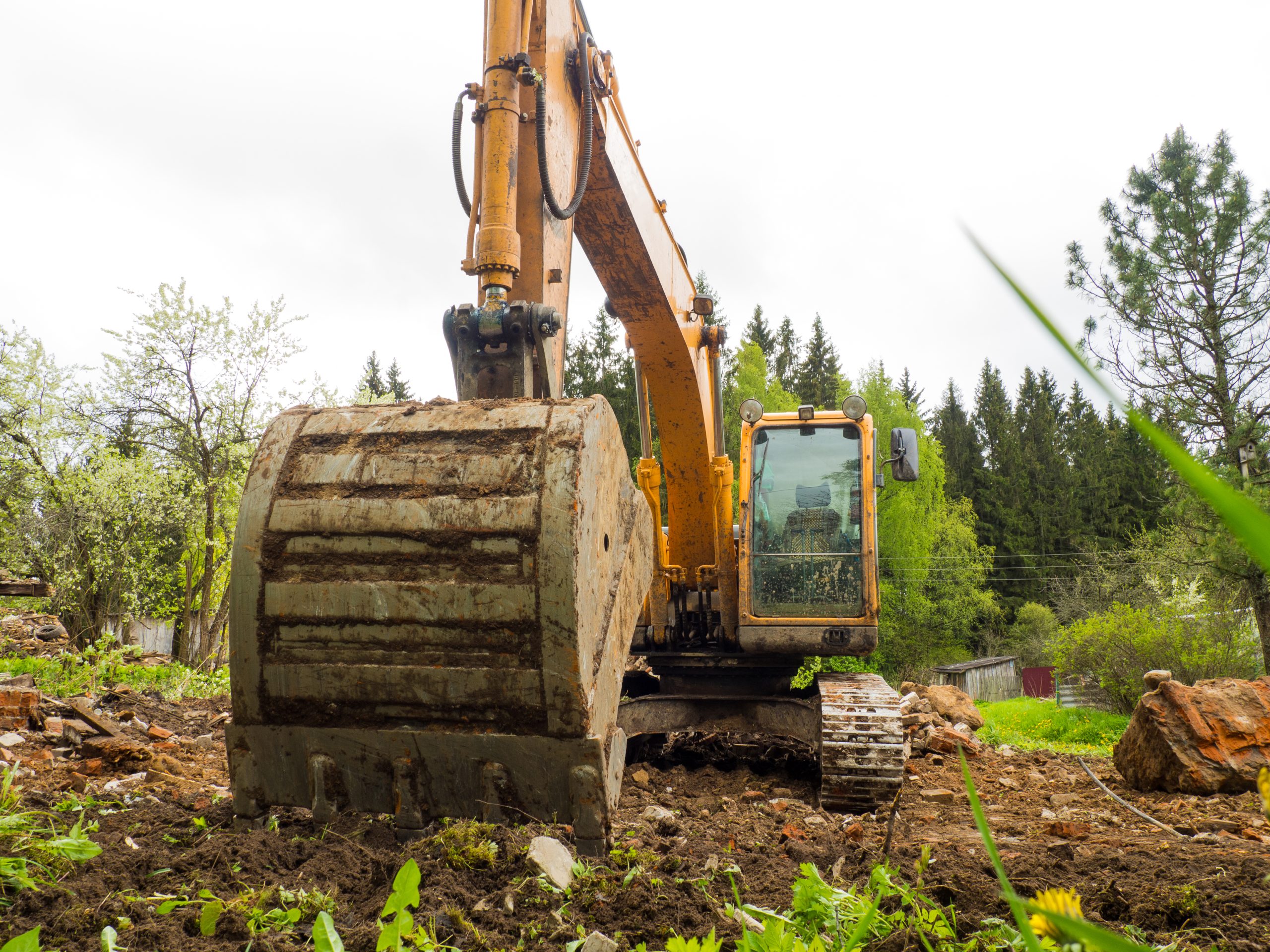 retro quitar arboles